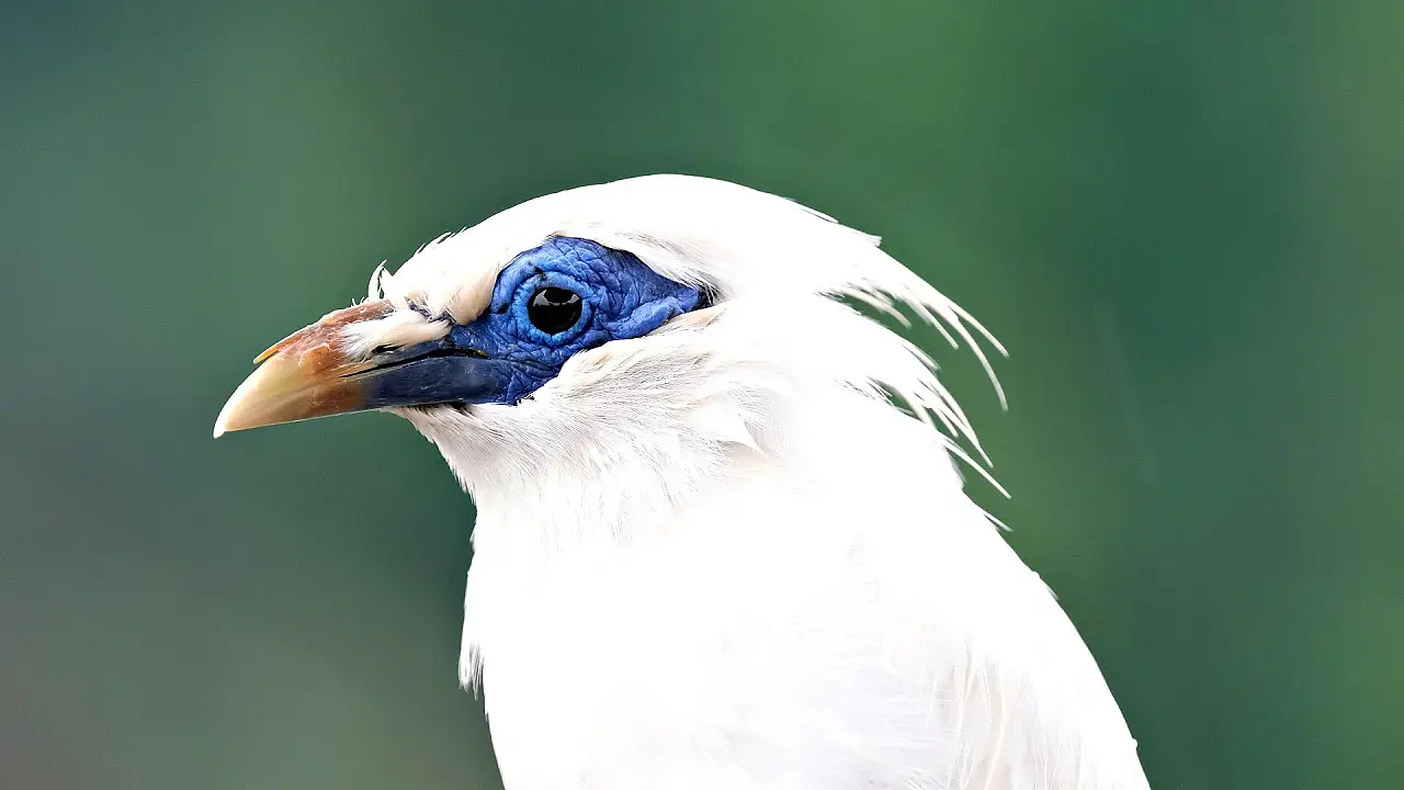 North Bali Highland Travel